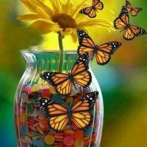 Meet your Posher, Carmen